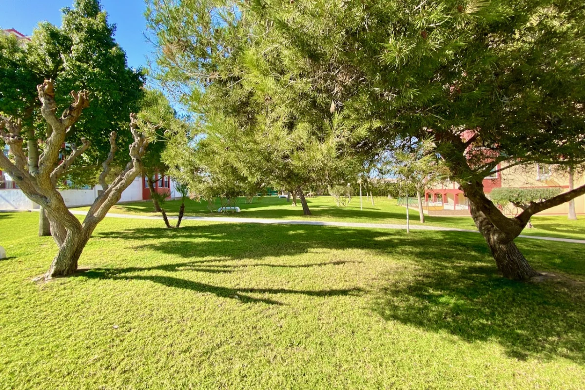 Foto de la propiedad